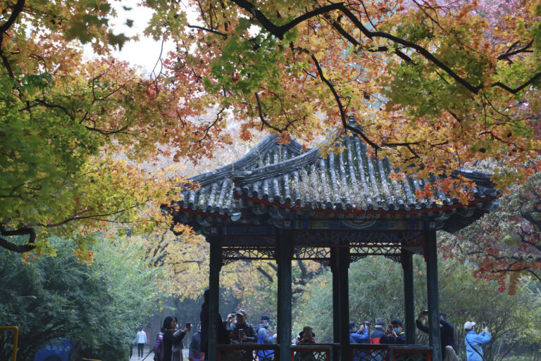 A glimpse of nature - CN9A7832